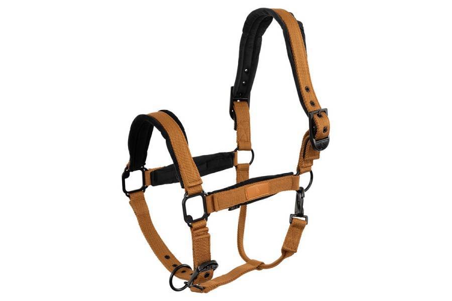 Cabezada Cuadra BR Flint Cathay Spice | Calvet Animales y