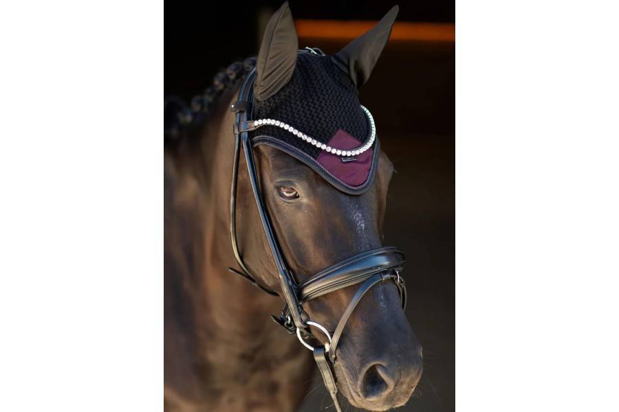 Orelleres Equestrian Stockholm Purple Night | Calvet Animals i Plantes