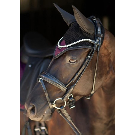 Orejeras Equestrian Stockholm Purple Night | Calvet Animales y
