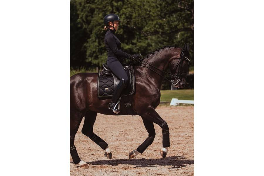 Suador Doma Equestrian Stockholm Negre/Or | Calvet Animals i Plantes