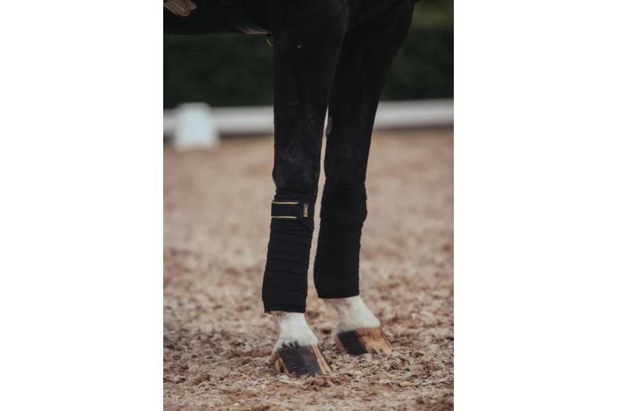 Benes Polars Equestrian Stockholm Negre/Oro | Calvet Animals i Plantes