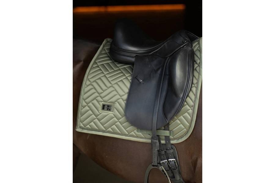 Suador Doma Equestrian Stockholm Modern Striking Valley | Calvet Animals i Plantes