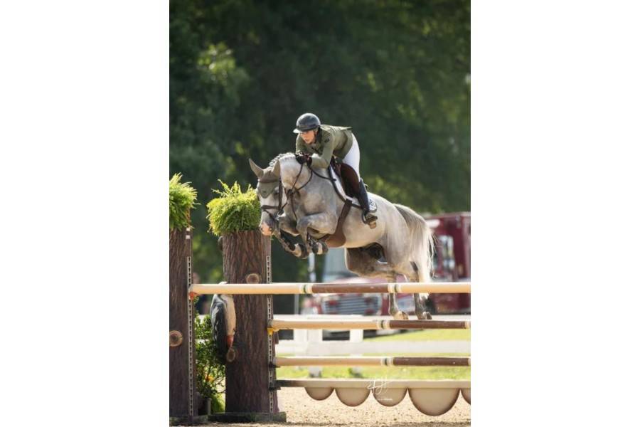 Orelleres Anti-so Equestrian Stockholm Modern Striking Valley | Calvet Animals i