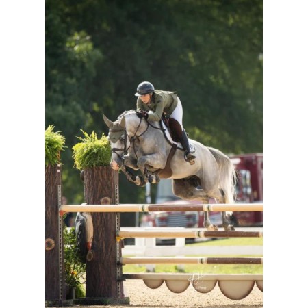 Orelleres Anti-so Equestrian Stockholm Modern Striking Valley | Calvet Animals i