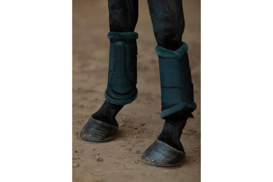 Protectors Equestrian Stockholm Dramatic Monday | Calvet Animals i Plantes