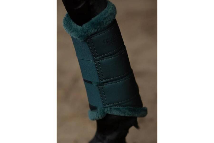 Protectors Equestrian Stockholm Dramatic Monday | Calvet Animals i Plantes