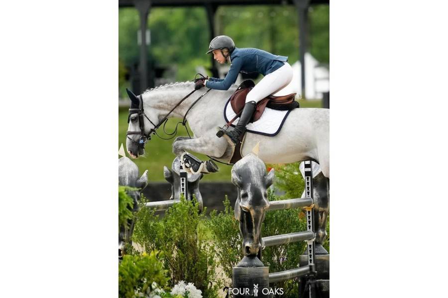 Suador Salt Equestrian Stockholm Modern Blanc/Blau Marí | Calvet Animals i Plantes