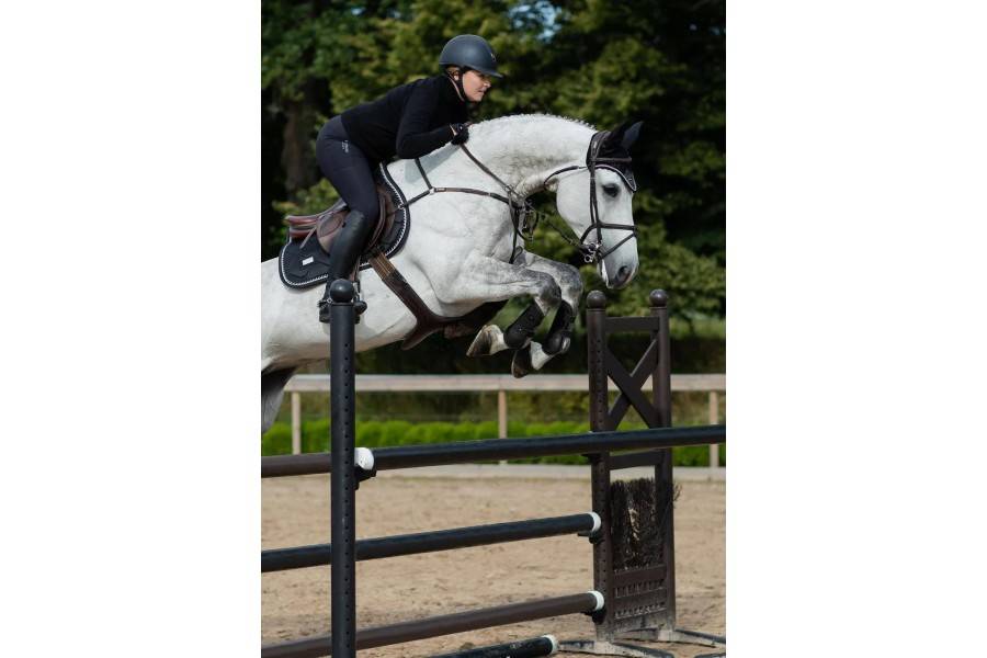 Suador Salt Equestrian Stockholm Edition Negre | Calvet Animals i Plantes