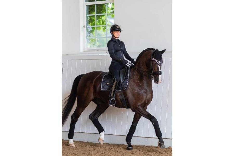 Sudadero Doma Equestrian Stockholm Edition Negro | Calvet