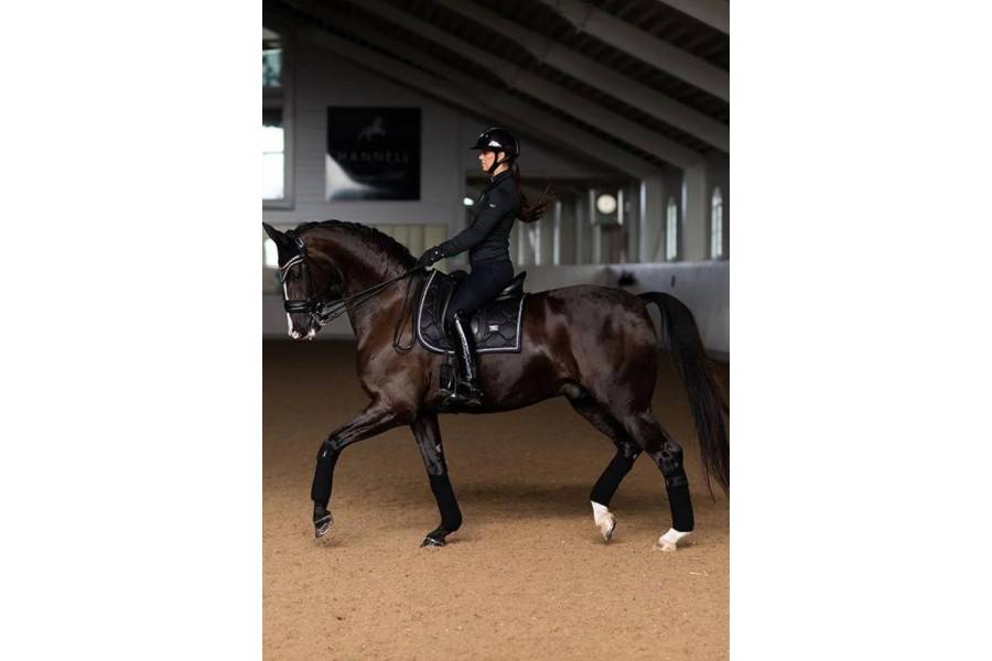 Suador Doma Equestrian Stockholm Edition Negre | Calvet Animals i Plantes