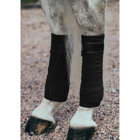 Benes Polars Equestrian Stockholm Edition Negre | Calvet Animals i Plantes