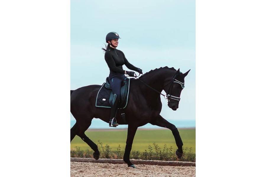 Benes Polars Equestrian Stockholm Edition Negre | Calvet Animals i Plantes