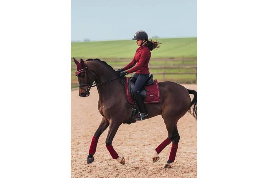 Sudadero Doma Equestrian Stockholm Burdeos | Calvet Animales y