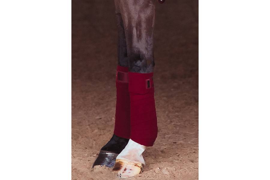 Vendas Polares Equestrian Stockholm Burdeos | Calvet Animales y