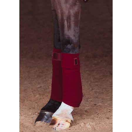 Benes Polars Equestrian Stockholm Bordeus | Calvet Animals i Plantes
