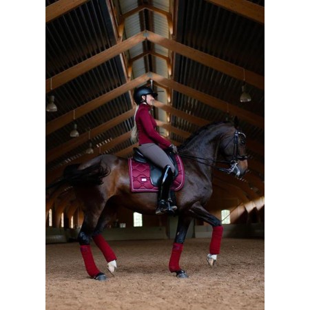 Benes Polars Equestrian Stockholm Bordeus | Calvet Animals i Plantes