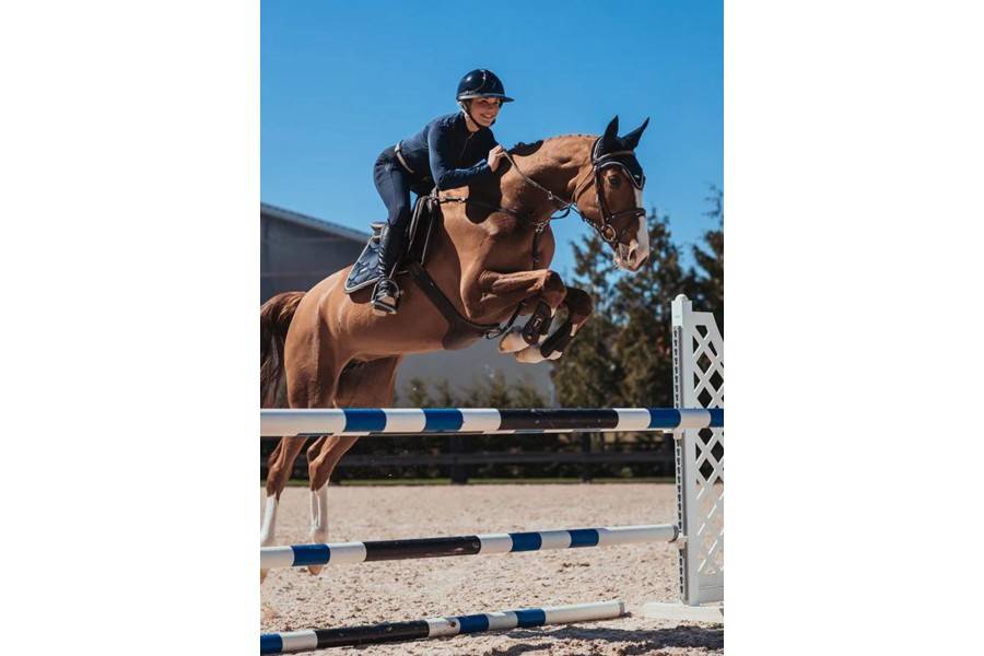Orejeras Equestrian Stckholm Royal Classic | Calvet Animales y