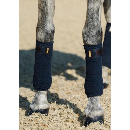 Benes Polars Equestrian Stockholm Royal Classic | Calvet Animals i Plantes