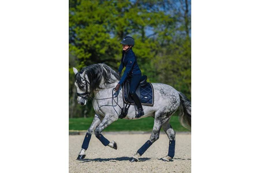 Vendas Polares Equestrian Stockholm Royal Classic | Calvet