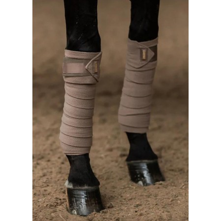 Vendas Polares Equestrian Stockholm Champagne | Calvet Animales