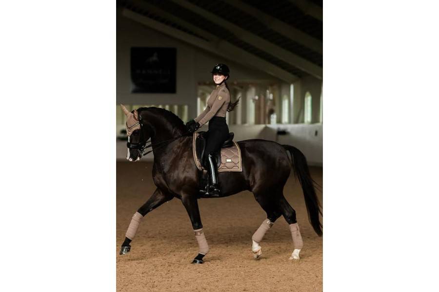 Benes Polars Equestrian Stockholm Champagne | Calvet Animals i Plantes