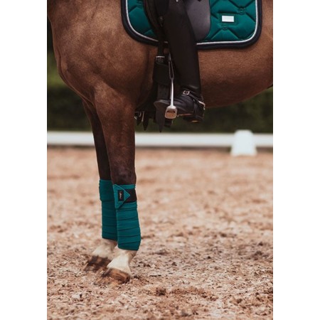 Benes Polars Equestrian Stockholm Emerald | Calvet Animals i Plantes