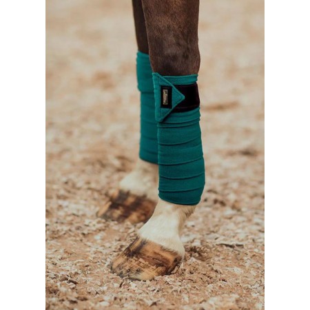 Benes Polars Equestrian Stockholm Emerald | Calvet Animals i Plantes