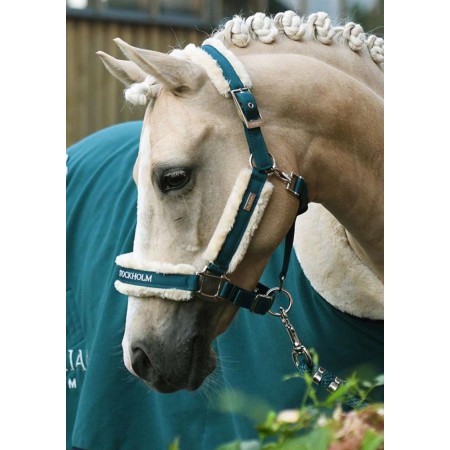 Cabezada Cuadra Equestrian Stockholm + Ramal Emerald | Calvet