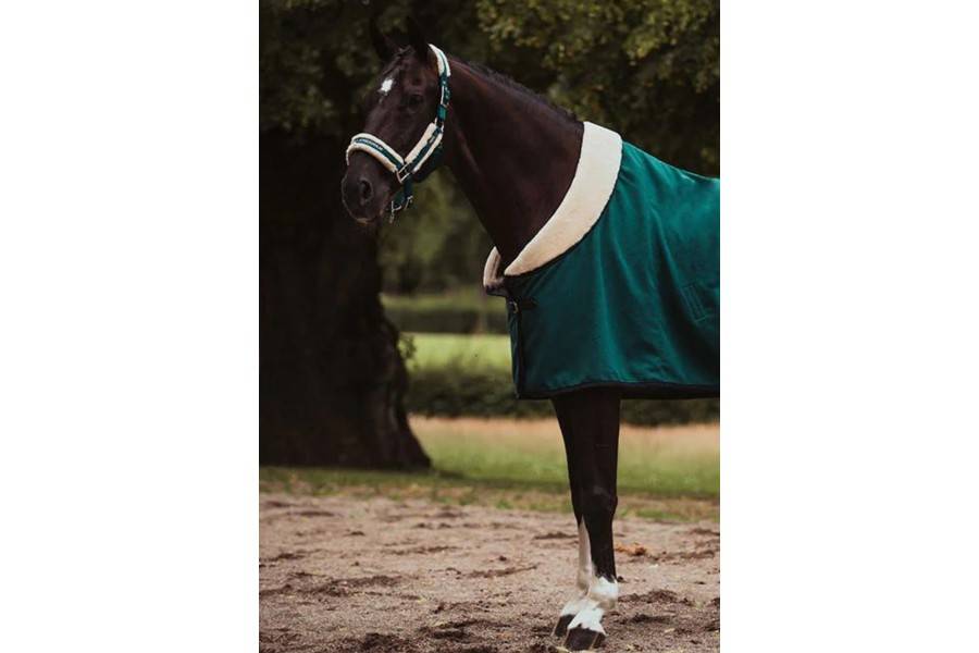 Cabezada Cuadra Equestrian Stockholm + Ramal Emerald | Calvet