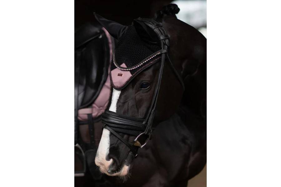 Orelleres Equestrian Stockholm Anemone | Calvet Animals i Plantes