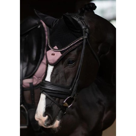 Orejeras Equestrian Stockholm Anemone | Calvet Animales y