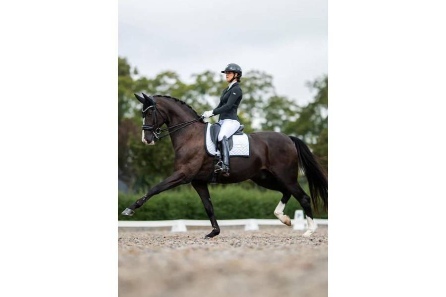 Sudadero Doma Equestrian Stockholm Modern Blanco/Negro | Calvet