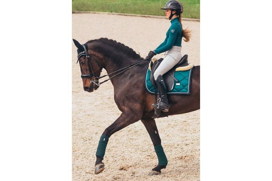 Suador Doma Equestrian Stockholm Emerald | Calvet Animals i Plantes