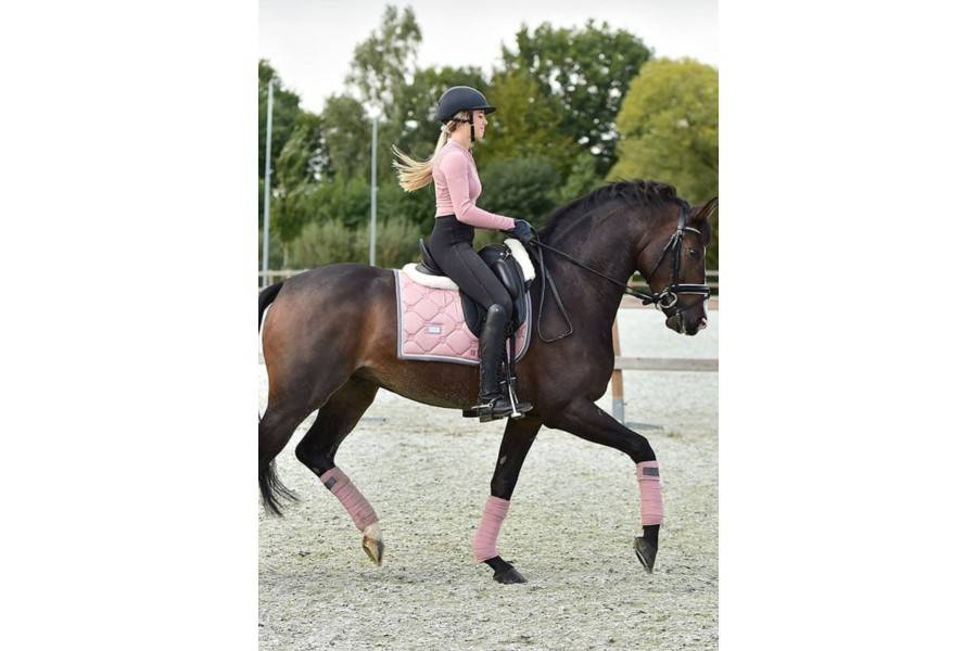 Sudadero Doma Equestrian Stockholm Pink Pearl | Calvet Animales