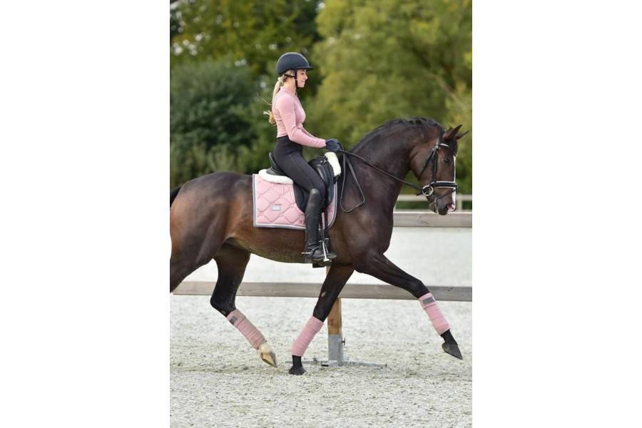 Sudadero Doma Equestrian Stockholm Pink Pearl | Calvet Animales