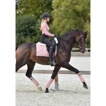 Suador Doma Equestrian Stockholm Pink Pearl | Calvet Animals i Plantes