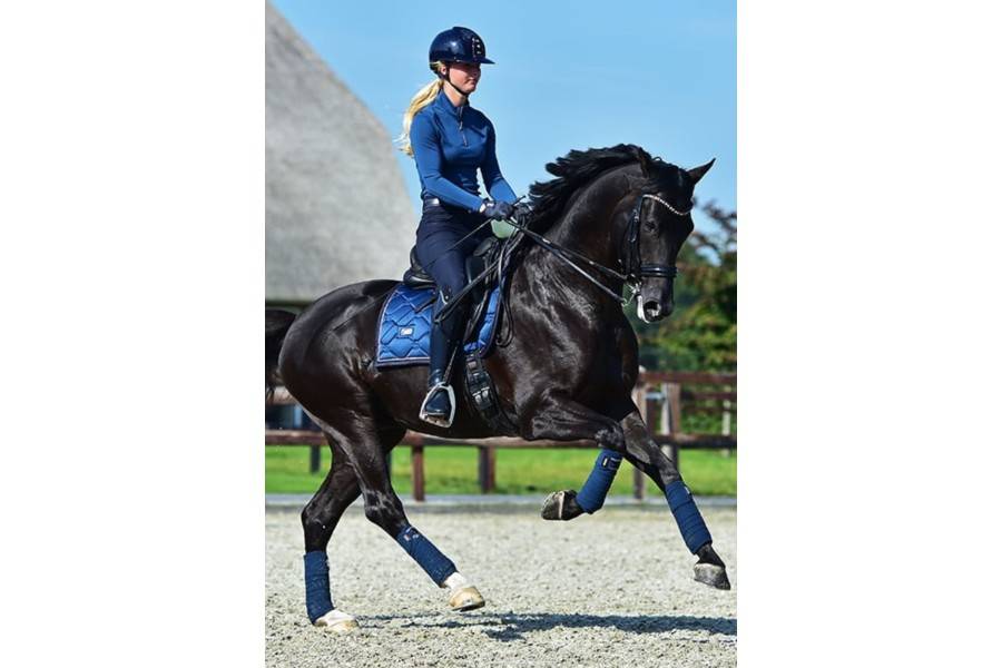 Suador Doma Equestrian Stockholm Monaco Blue | Calvet Animals i Plantes