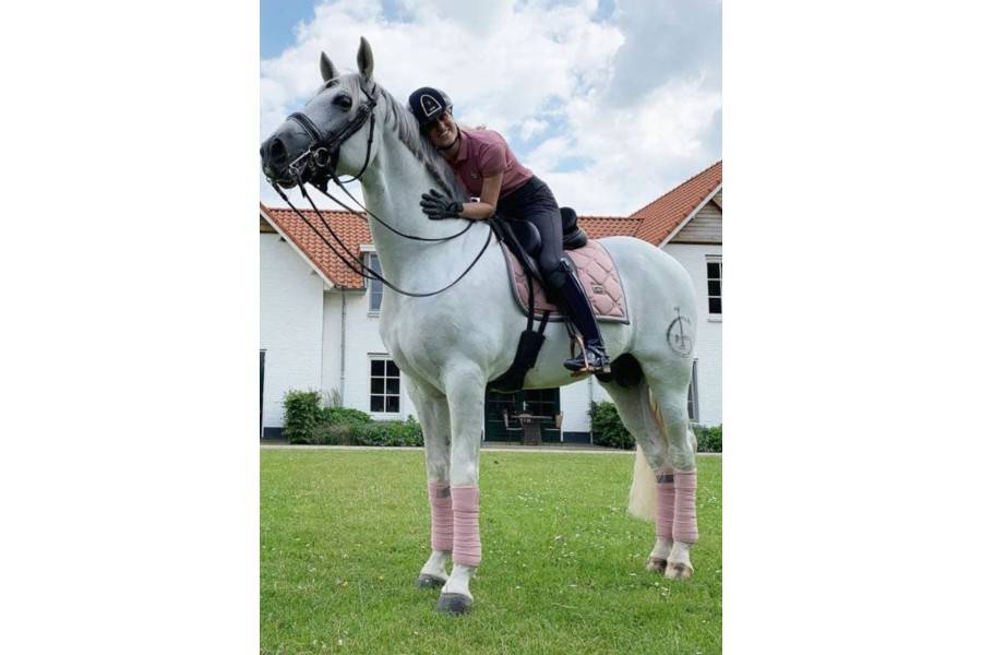 Benes Polars Equestrian Stockholm Pink | Calvet Animals i Plantes