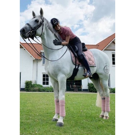 Benes Polars Equestrian Stockholm Pink | Calvet Animals i Plantes