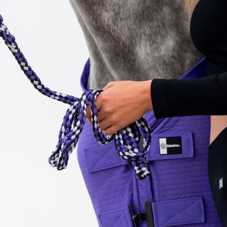 Ramal Cavall Eskadron Dynamic 2 M Púrpura | Calvet Animals i Plantes