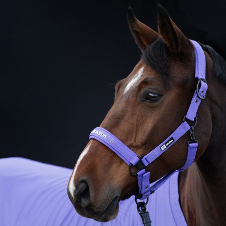 Morralla Quadra Eskadron Dynamic Púrpura | Calvet Animals i Plantes