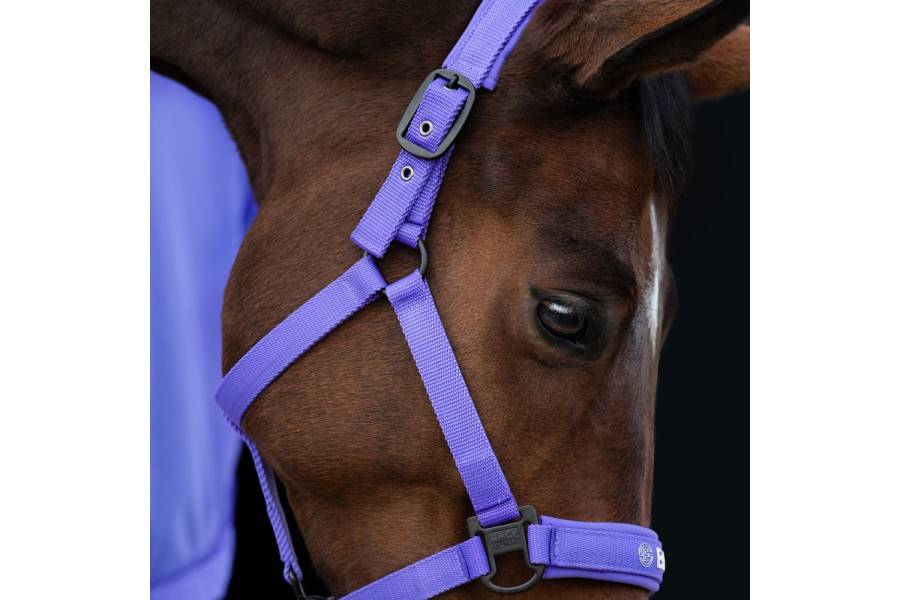 Morralla Quadra Eskadron Dynamic Púrpura | Calvet Animals i Plantes