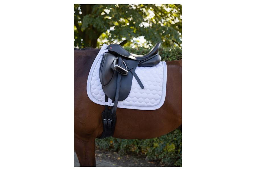 Suador Doma BR Zamora Blanc | Calvet Animals i Plantes