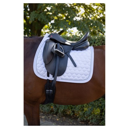 Suador Doma BR Zamora Blanc | Calvet Animals i Plantes