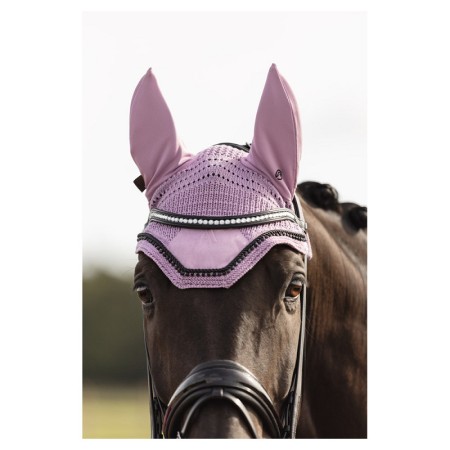 Orelleres ANKY ATB242005 Lavender Herb | Morralles