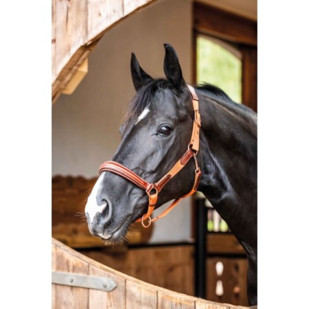 Morralla Quadra HKM Edinburgh Brandy | Morralles