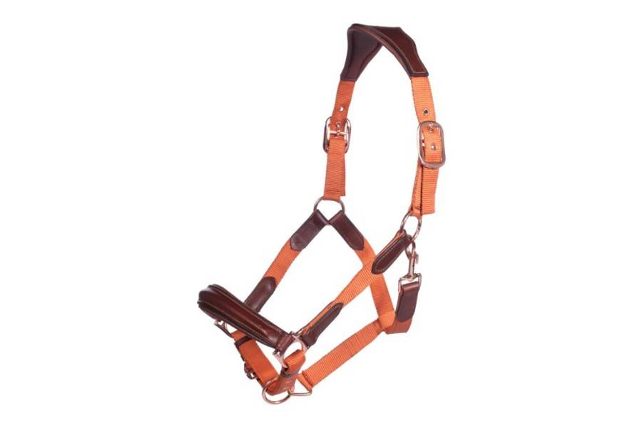 Morralla Quadra HKM Edinburgh Brandy | Morralles