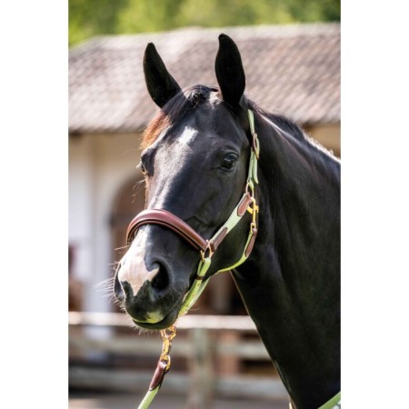 Morralla Quadra HKM Edinburgh Festuc | Morralles