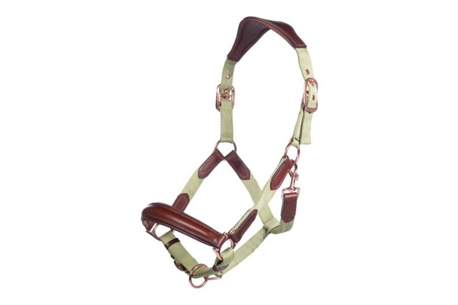 Morralla Quadra HKM Edinburgh Festuc | Morralles