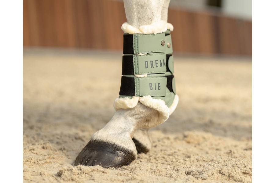 Protectors QHP Equestrian Dream Dusty Olive | Proteccions